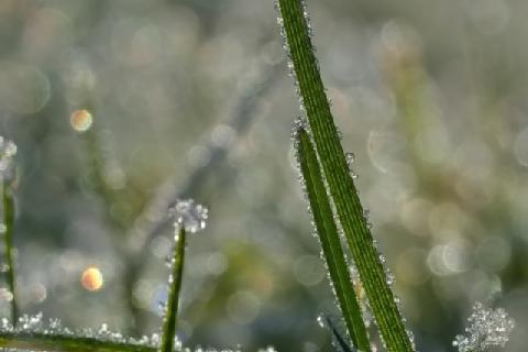 Ausschnitt von Bild 2